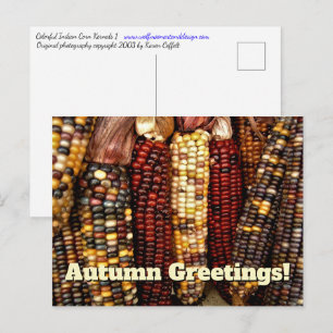 Postal Colorida foto de Kernels de maíz indio