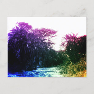 Postal Colorida galería River Forest Vintage Tropical
