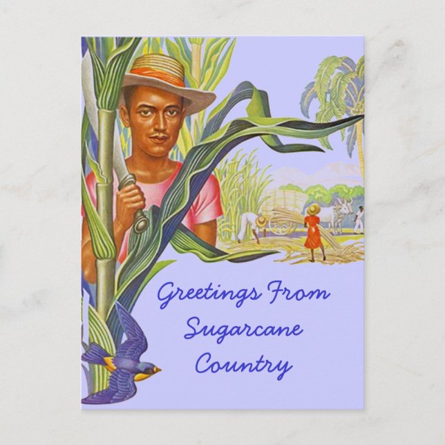 POSTAL COLORIDA PROMO VIAJE SUGARCANE HARVEST POSTCARTA (Anverso)