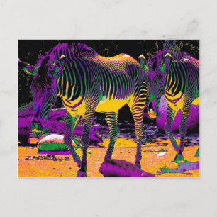 Postal Coloridas Cebras