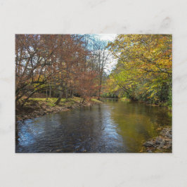 Postal Coloridas hojas caen reflexiones sobre la corrient