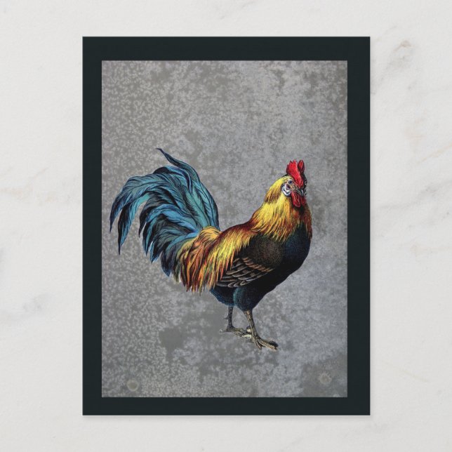 Postal Colorido Bantam Rooster (Anverso)