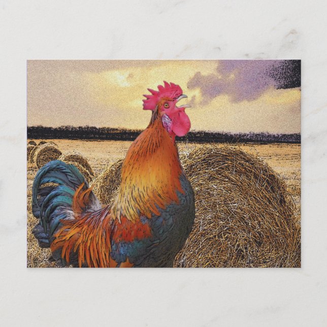 Postal Colorido gallo y heno bale (Anverso)