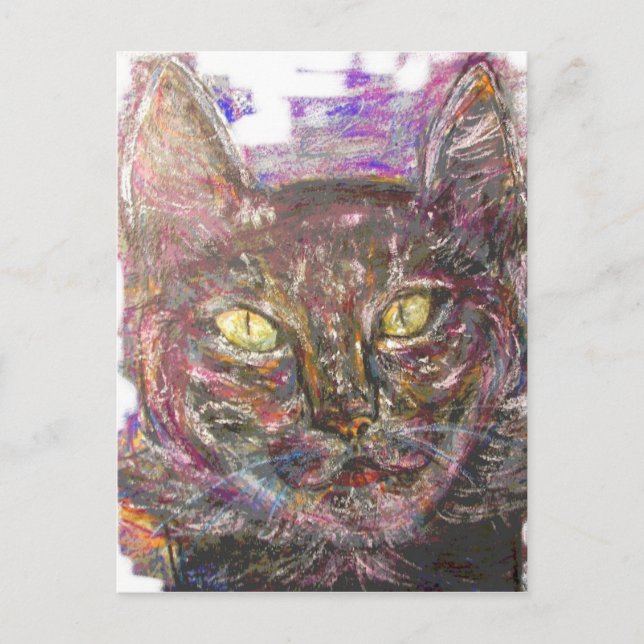 Postal colorido gato griego (Anverso)