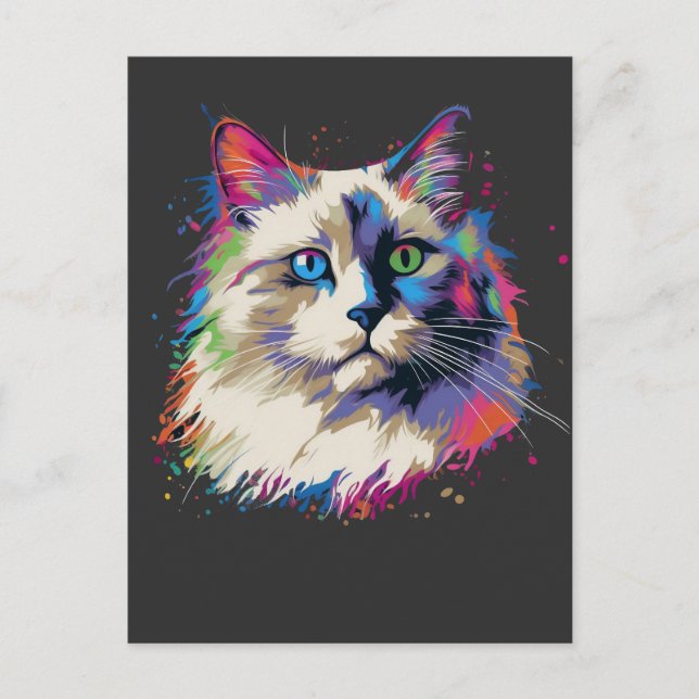 Postal Colorido gato Ragdoll (Anverso)