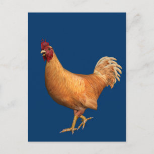 Postal Colorido Naranja Rooster
