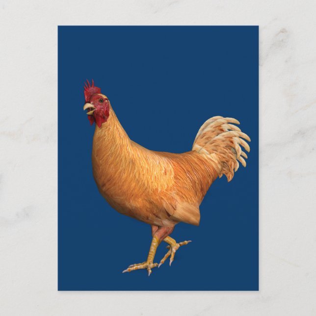 Postal Colorido Naranja Rooster (Anverso)