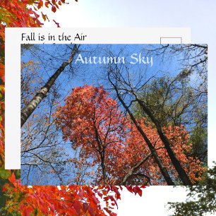 Postal Colorido otoño fotográfico del cielo de otoño