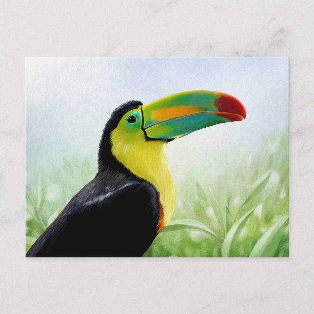Postal Colorido pájaro tropical negro amarillo verde toca (Anverso)