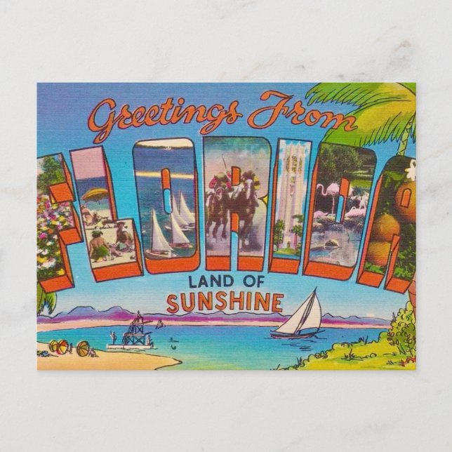 Postal Colorido Vintage Florida  (Anverso)
