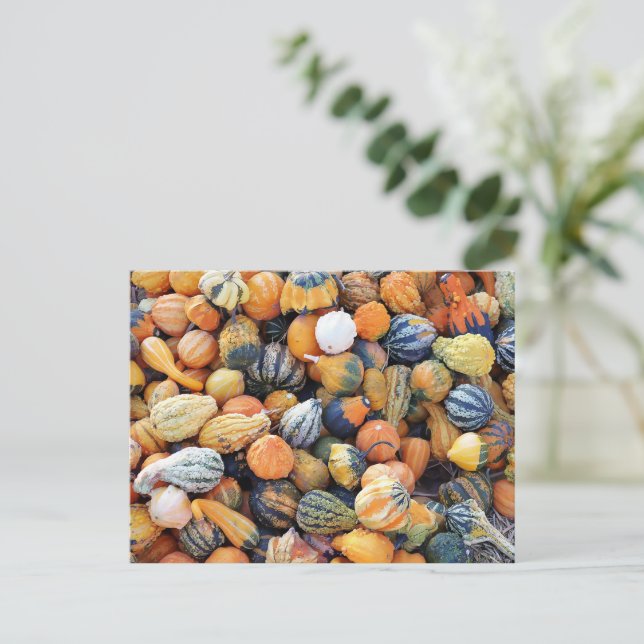 Postal Coloridos Gourds A (Anverso de pie)