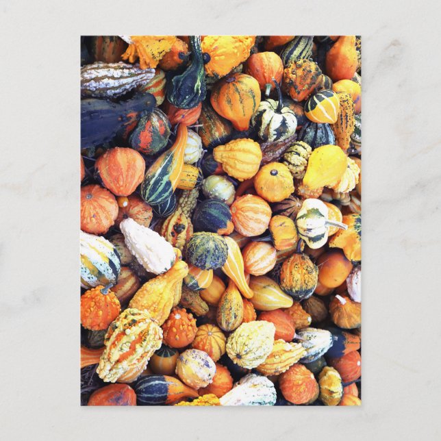 Postal Coloridos Gourds C (Anverso)