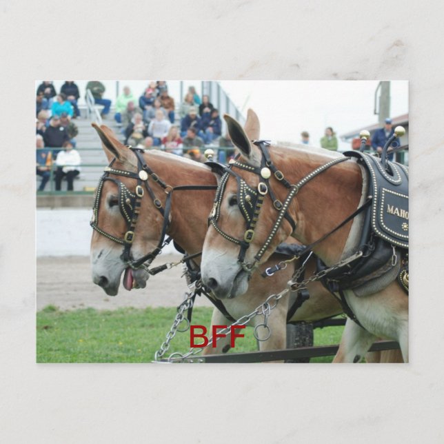 Postal columbia tn (Anverso)