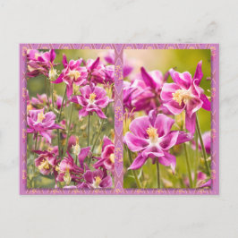 Postal Columbines Diptych