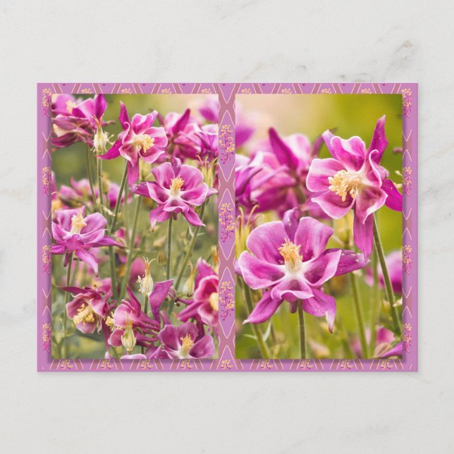 Postal Columbines Diptych (Anverso)