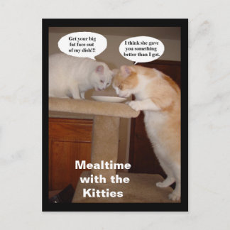 Postal Comaltime with the Kitties