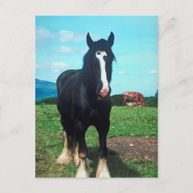 Postal Comarca de pie (Anverso)