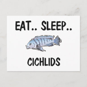 Postal Comer CICHLIDS de sueño
