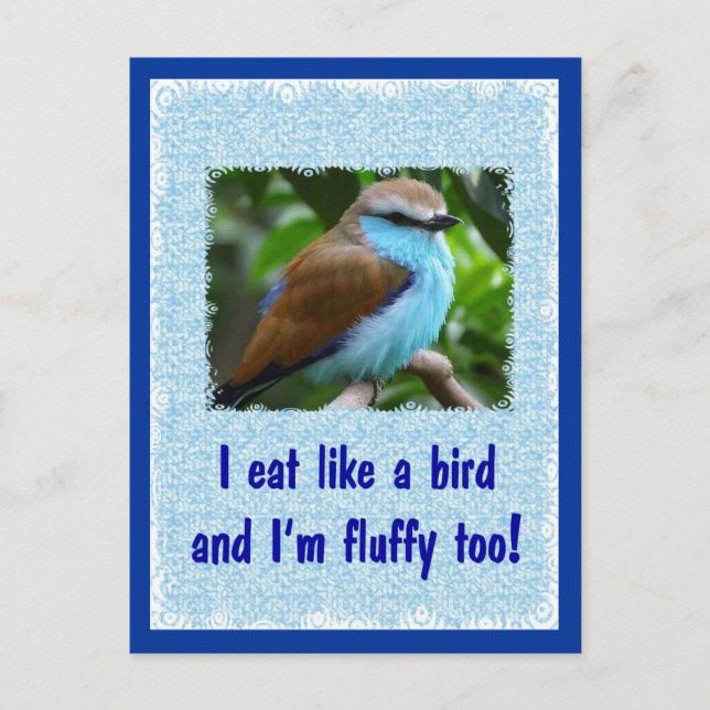 Postal Comer como un pájaro 2 (Anverso)