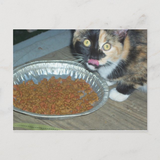 Postal Comer gatito (Anverso)