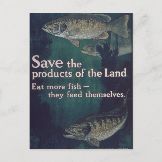 Postal Comer más peces - Vintage (Anverso)