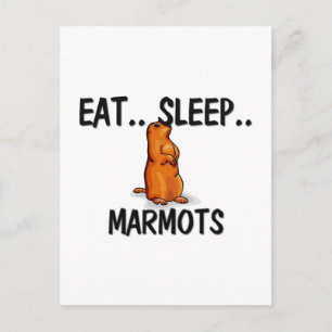 Postal Comer Sleep MARMOTS