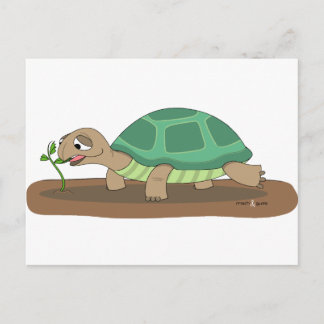 Postal Comer tortoise