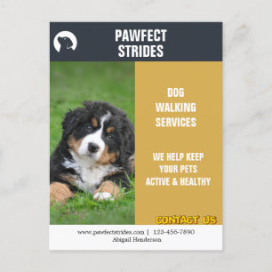 Postal Comercialización de Dog Walker Business