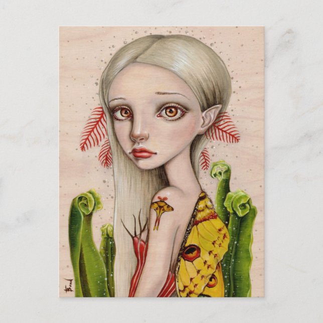 Postal Comet Moth (Anverso)