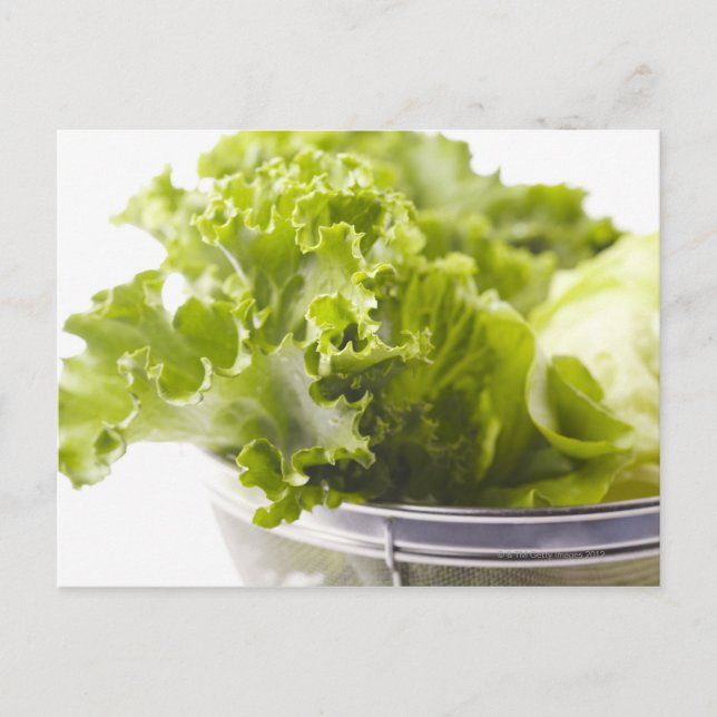 Postal Comida, Comida Y Bebida, Verduras, Lechuga, (Anverso)