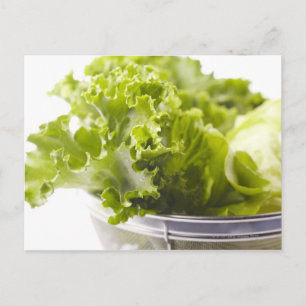 Postal Comida, Comida Y Bebida, Verduras, Lechuga,