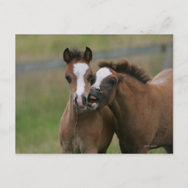 Postal Comidas jugando (Anverso)