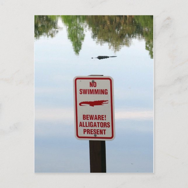 Postal Comité de Bienvenida para Florida (Anverso)