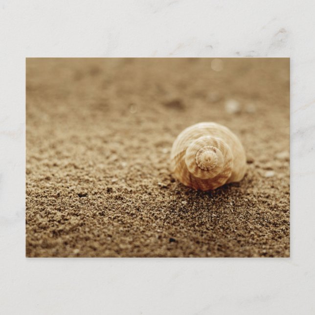 Postal Common Whelk | Bahía Botánica (Anverso)