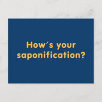Cómo está tu saponificación