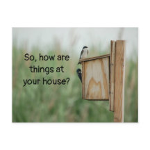 ¿Cómo piensan las cosas de ustedes los pájaros?