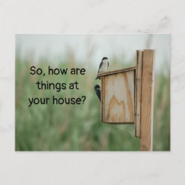 Postal ¿Cómo piensan las cosas de ustedes los pájaros?