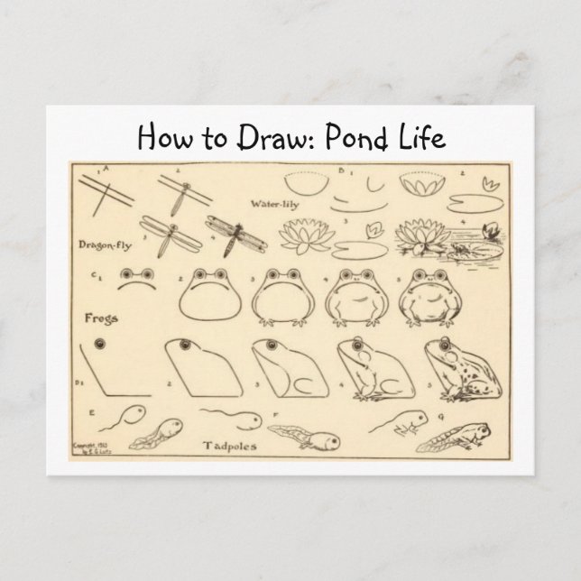 Postal Cómo robar cartón vintage de ranas (Anverso)