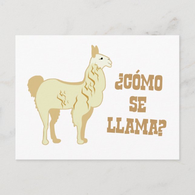 Postal ¿Como se llama? ¿Cómo se llama? (Anverso)