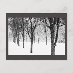 Postal como si estuviera del lado de los árboles