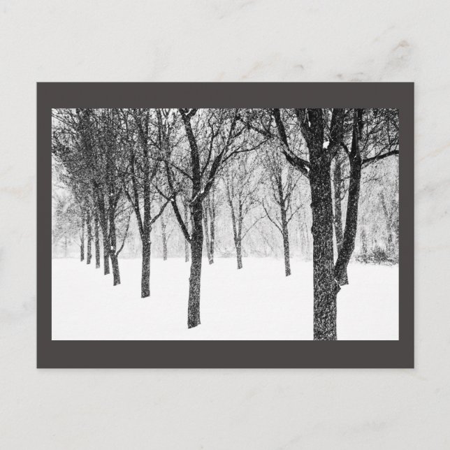 Postal como si estuviera del lado de los árboles (Anverso)