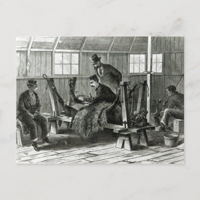 Postal Cómo tomar el virus de la pantorrilla (Anverso)