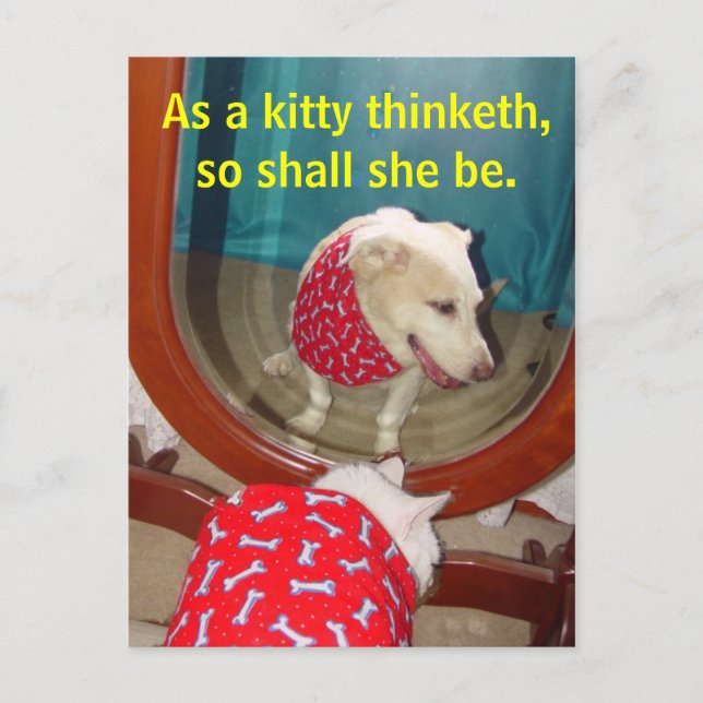 Postal Como un gatito... (Anverso)