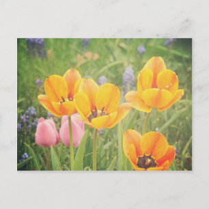 Postal Como una bella pintura de la vida