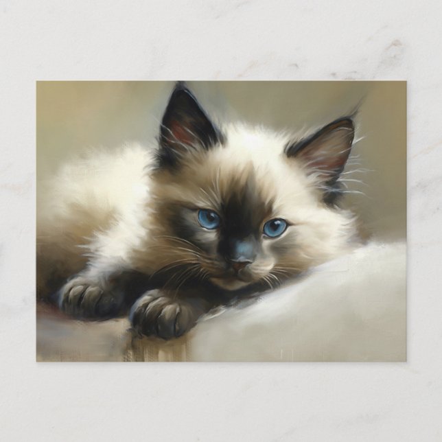 Postal Compañero acogedor Siamese Kitten (Anverso)