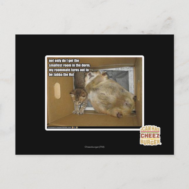 Postal Compañero de cuarto gordo (Anverso)