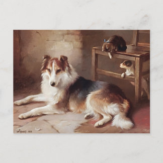 Postal Compañeros de juegos - Gatito de perro - Cachorro