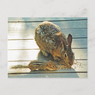 Postal Compartir conejo y Chipmunk