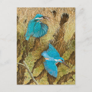 Postal Compartir el cuidado 2011