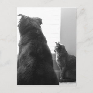 Postal Compartir un momento tranquilo